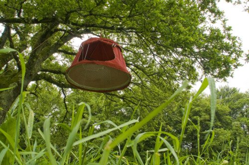 Hébergement AbracadaRoom : Plum'arbres 4 - Image 4