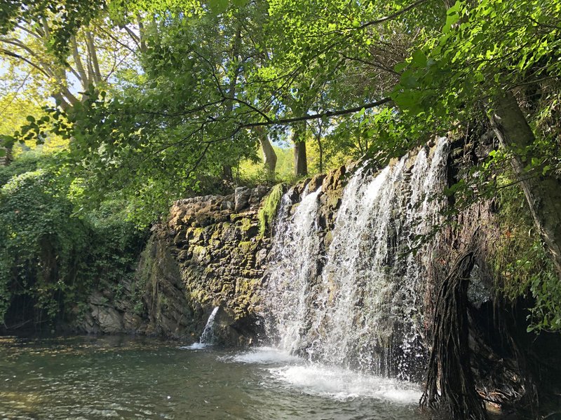 Domaine AbracadaRoom : Cosy Nature - Image 5