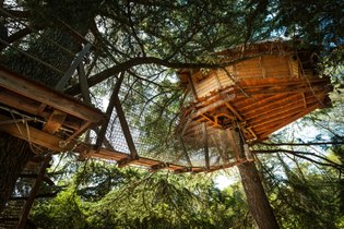 Cabane dans les arbres Hérault