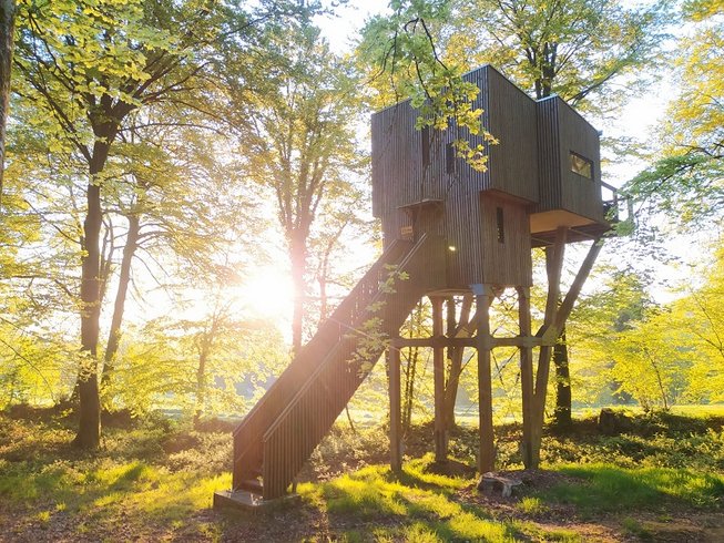 Domaine AbracadaRoom : L'Etape en Forêt - Image 12