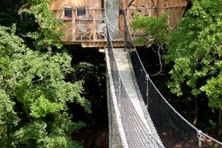 Cabane dans les arbres Vienne