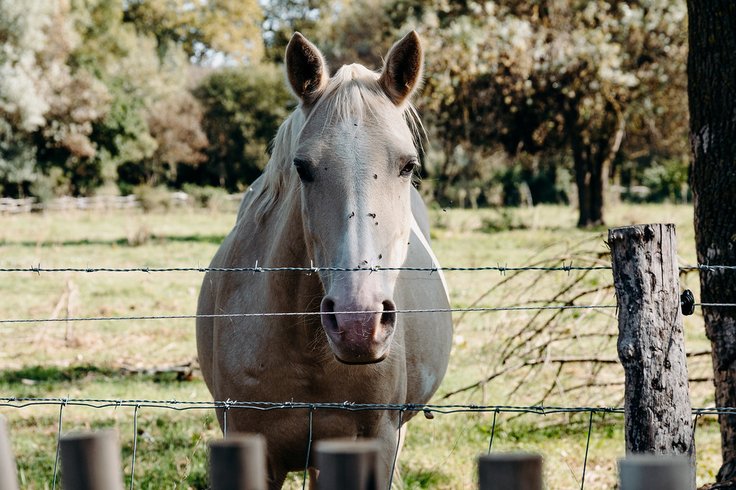 Domaine AbracadaRoom : Domaine de Biar - Image 33