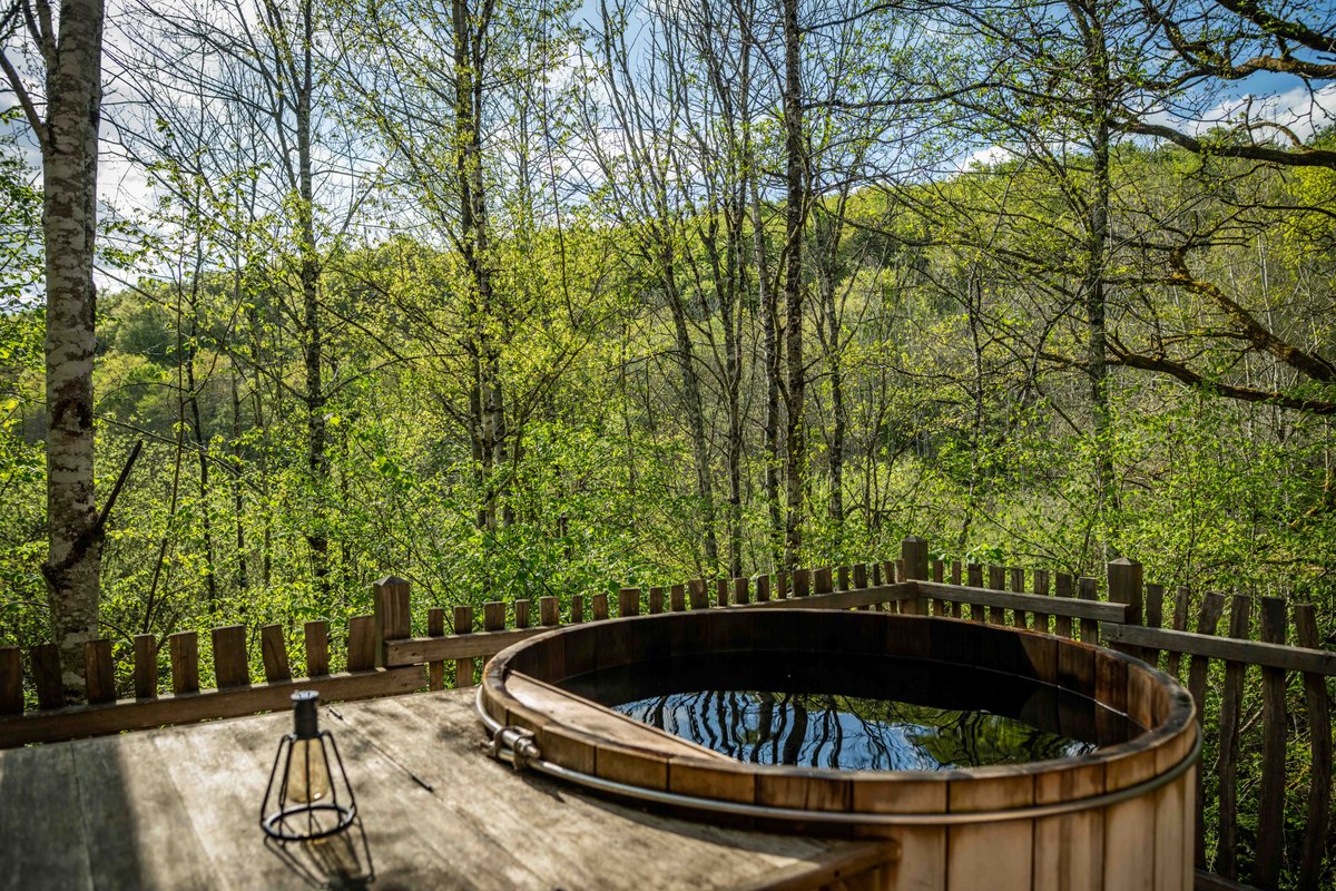Cabane féérique  Spa - Cigogne noire à Vernois Les Vesvres (3)