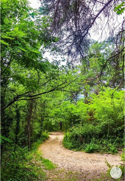 Domaine AbracadaRoom : Le Mas des Pins - Image 14