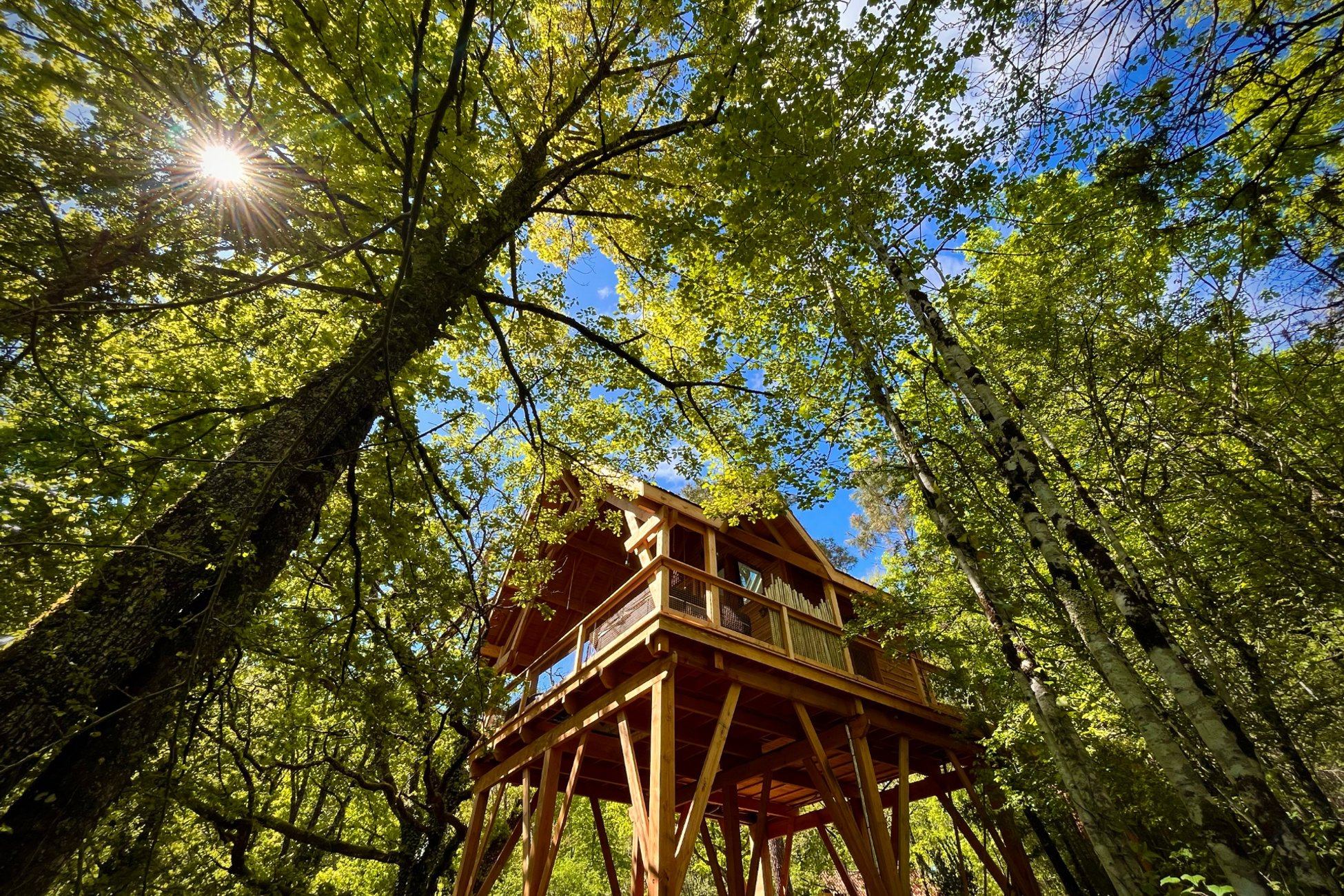 Hébergement UnicStay : Cabane perchée & spa + sauna à Puygaillard De Quercy