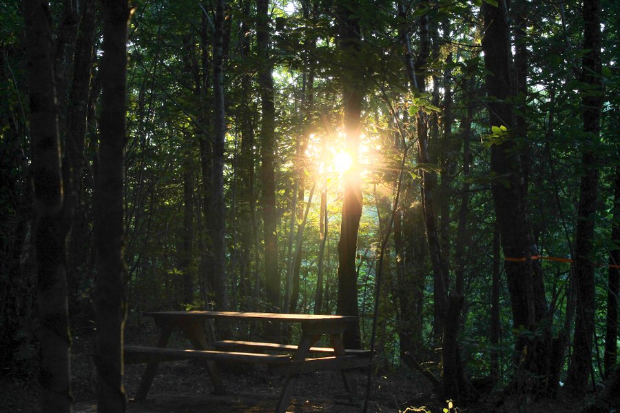 Hébergement AbracadaRoom : Tente suspendue Petit Renard - Image 8