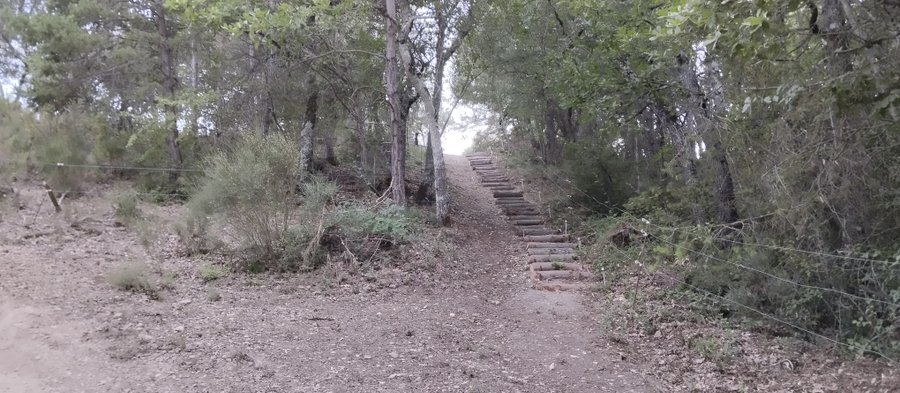 Domaine AbracadaRoom : Connexion au vivant - Image 3