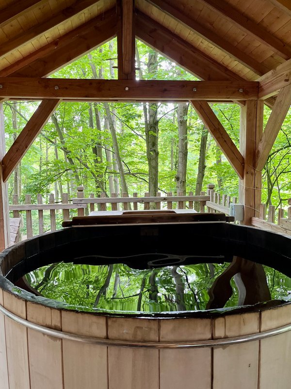 Lov'nid Spa Cosy à Raray (8)