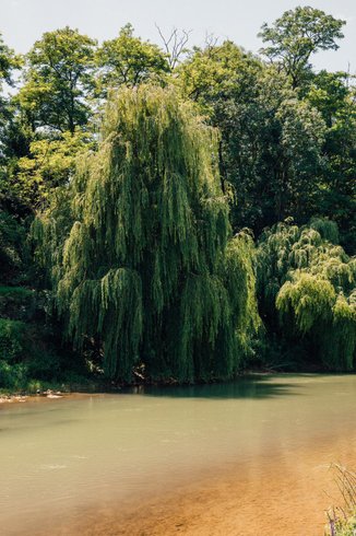 Domaine AbracadaRoom : Le Sanctuaire des sorciers - Image 8