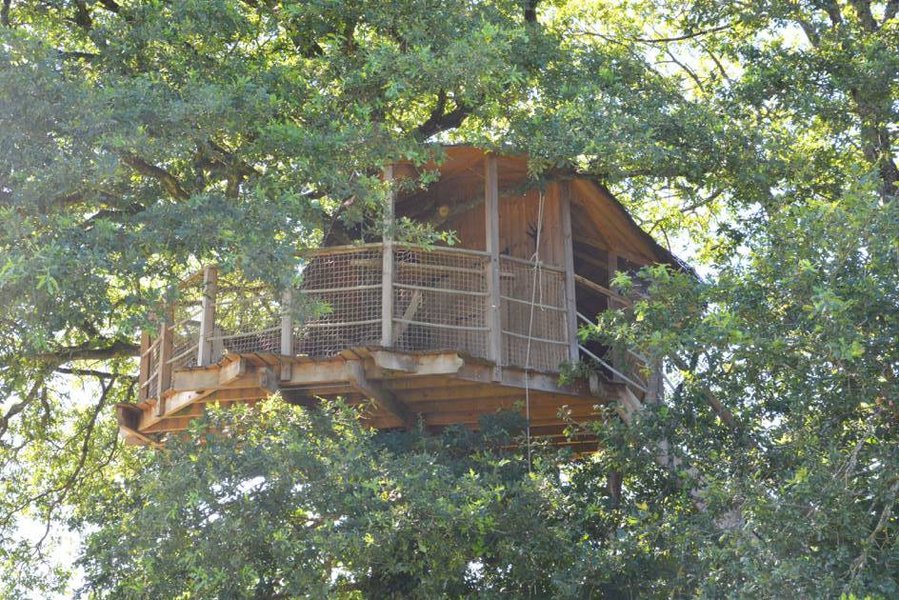 Hébergement AbracadaRoom : Cabane Girsberg - Image 7