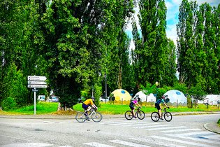 Tridomes