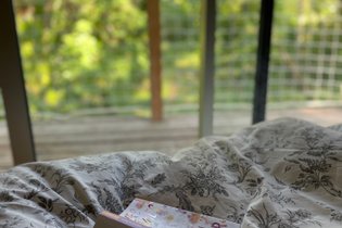 Parc et chateau de Gizeux