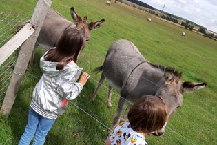 Caraferme et compagnie