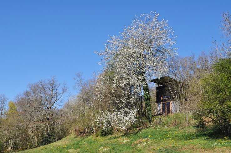 Hébergement AbracadaRoom : Cabane Latite - Image 1