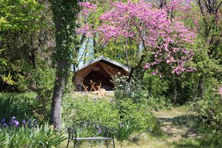 Tente safari luxe Orion