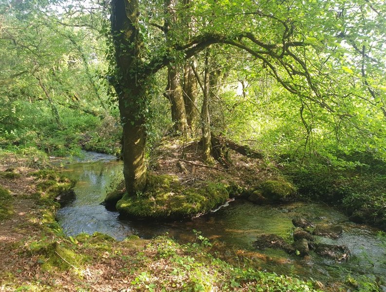 Domaine AbracadaRoom : La Bulle de Clotilde - Image 9