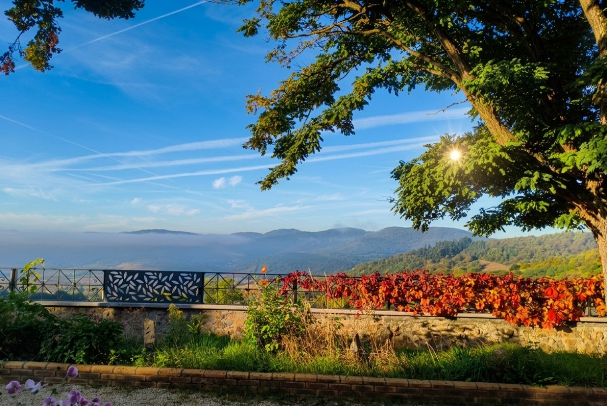 Le Placard du sorcier à Lantignié (26)