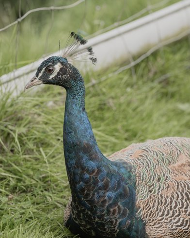 Domaine AbracadaRoom : Domaine Rêves étoilés - Image 13