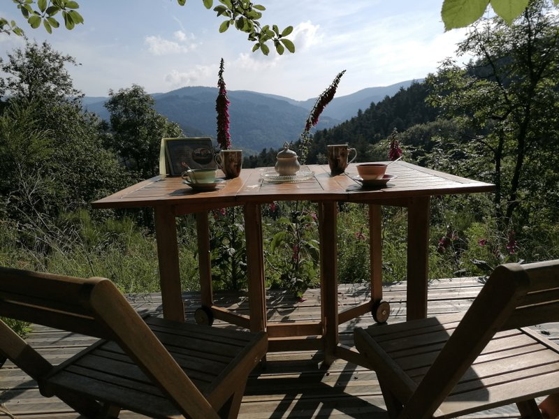 Hébergement AbracadaRoom : Le Nid, perché à la cime de l'arbre - Image 11