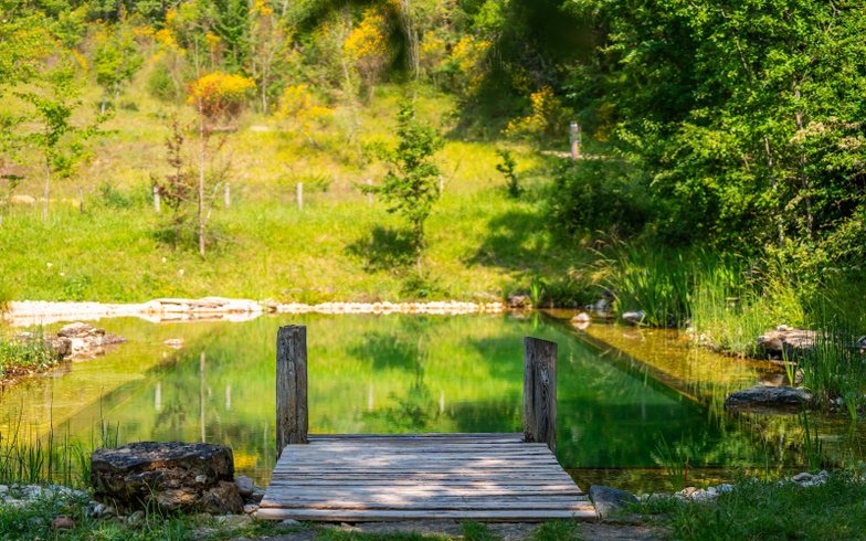 Hébergement AbracadaRoom : Shimoni, dans les bois - Image 10