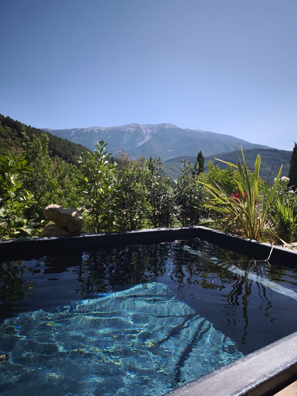 LODGE DES BARONNIES Piscine et spa à Plaisians (18)
