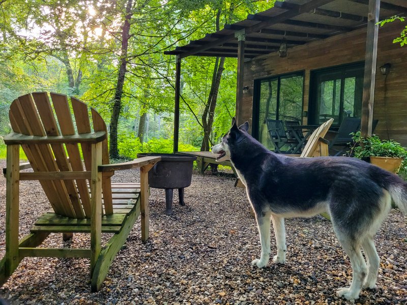 Hébergement AbracadaRoom : Tiny House Lumen & son bain bordelais - Image 19