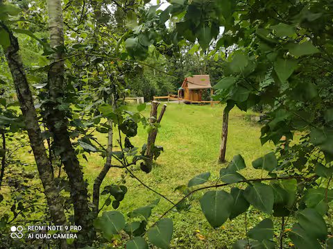 Hébergement AbracadaRoom : Yourte la Desirade - Image 12