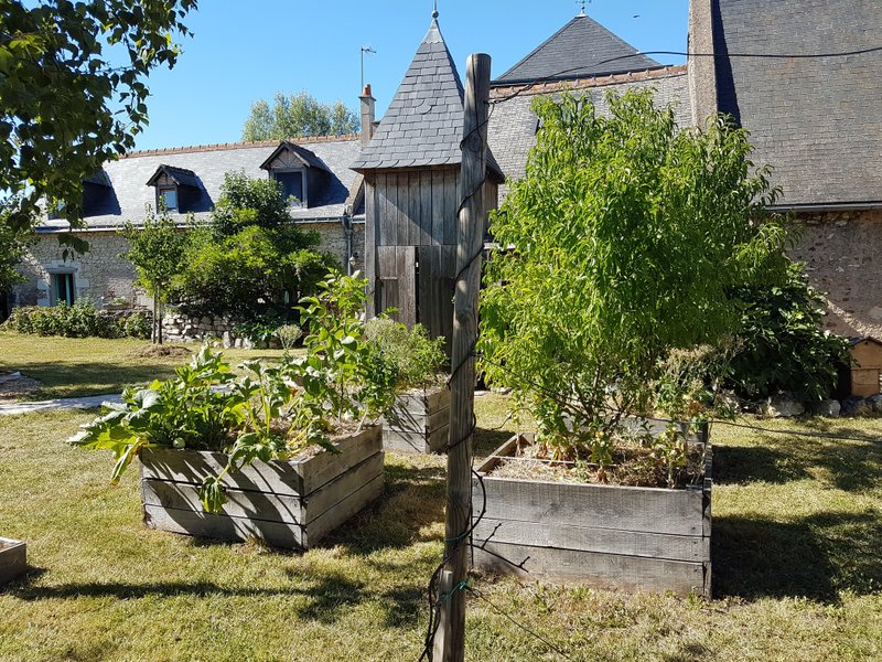 Domaine AbracadaRoom : Jeanne et le Phoenix - Image 22