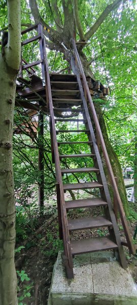 Hébergement AbracadaRoom : Le Nid des Farfadets - Image 24