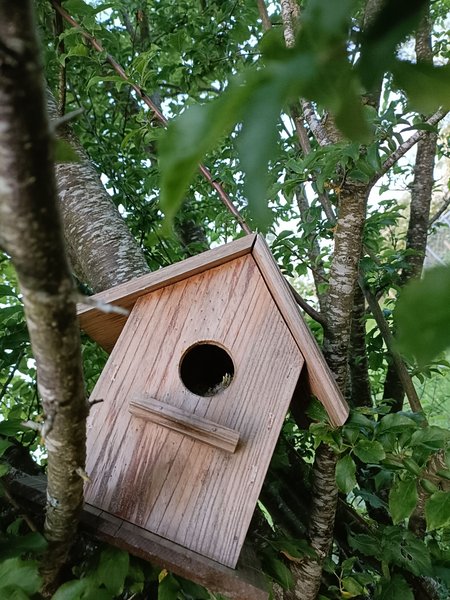 Domaine AbracadaRoom : Pré en bulles - Image 10