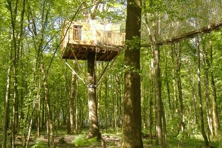Cabane Sous-Bois