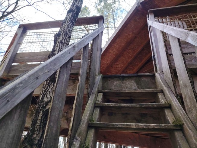 Hébergement AbracadaRoom : Cabane Murmure de Feuilles – Une parenthèse suspendue au cœur de la nature - Image 5