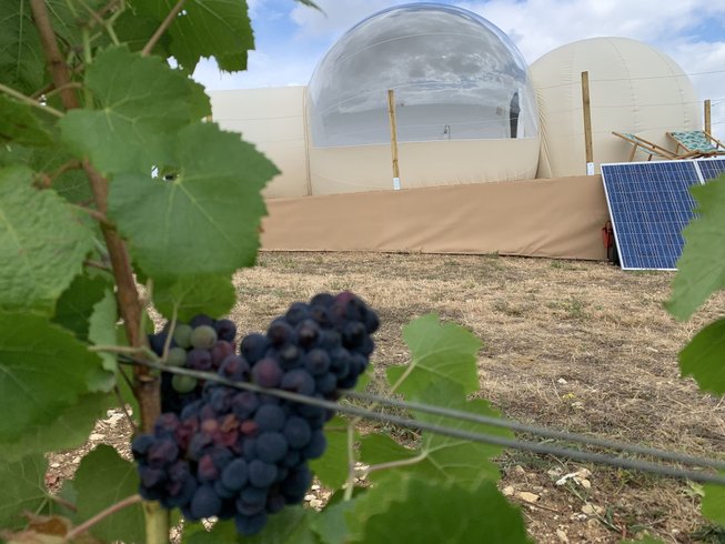 Hébergement AbracadaRoom : Bulle des vignes - Image 26