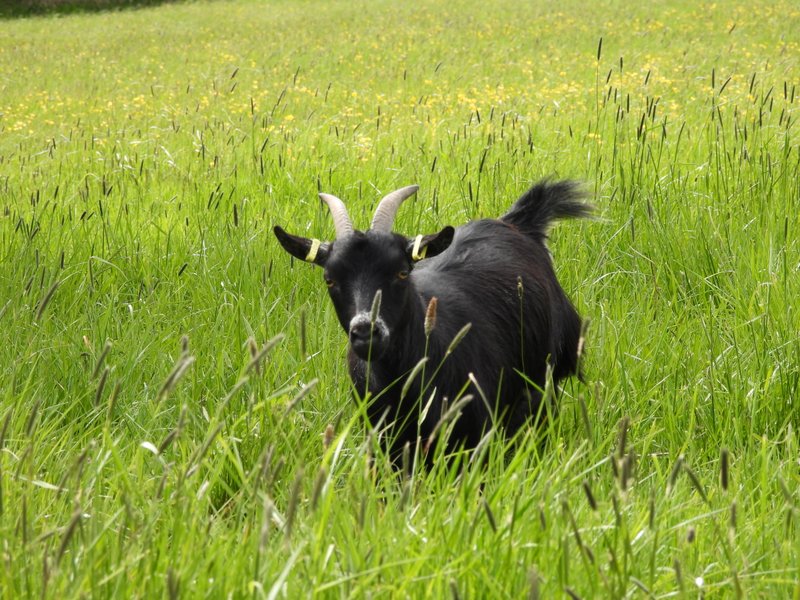 Domaine AbracadaRoom : Les 2 Granges - Image 15