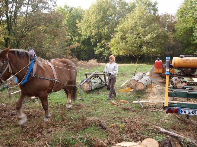 Domaine AbracadaRoom : Kaban'Etik - Image 2