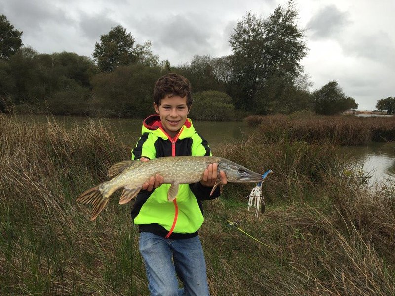 Domaine AbracadaRoom : Village Flottant de Pressac - Image 5