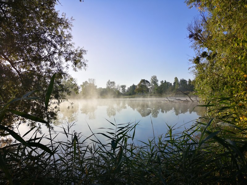 Domaine AbracadaRoom : Etat Nature - Image 1