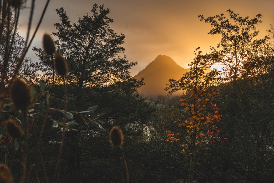 Hébergement AbracadaRoom : KOKONI - HAPA 2 personnes - Image 34