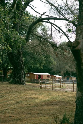 Hébergement AbracadaRoom : Roulotte supérieure  - Campo 2 - Image 11