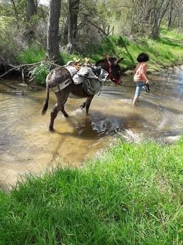 Hébergement AbracadaRoom : Le Tipi - Image 9