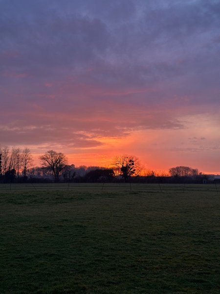 Domaine AbracadaRoom : Les roulottes des amis de Wonky - Image 15