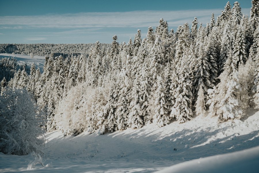 Hébergement AbracadaRoom : Homnest - L'Instant Sauvage - Vue Cimes & Forêt - Image 47