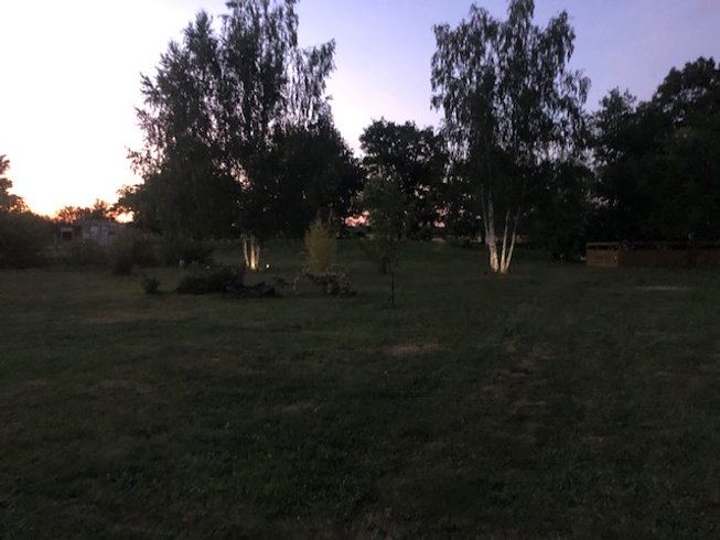 Domaine AbracadaRoom : Bulle des 2 arbres de la sagesse - Image 3