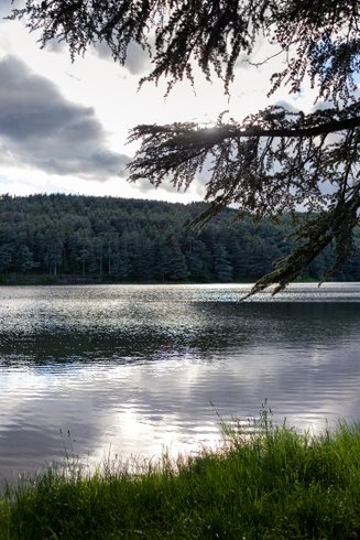 Domaine AbracadaRoom : Au Clair de l'eau - Image 17