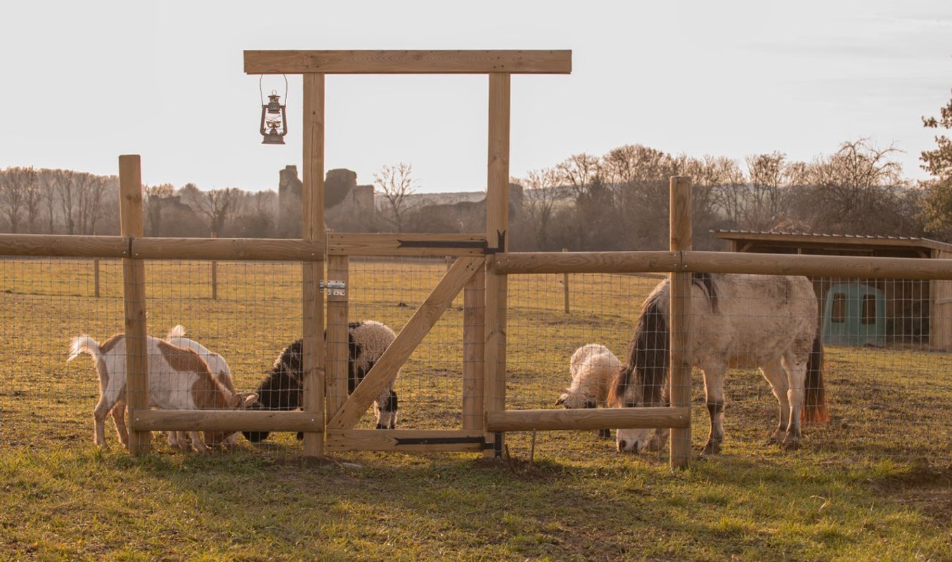 LA ROULOTTE DU RANCH, Bain Nordique, Sauna et Animaux à Blamont (17)