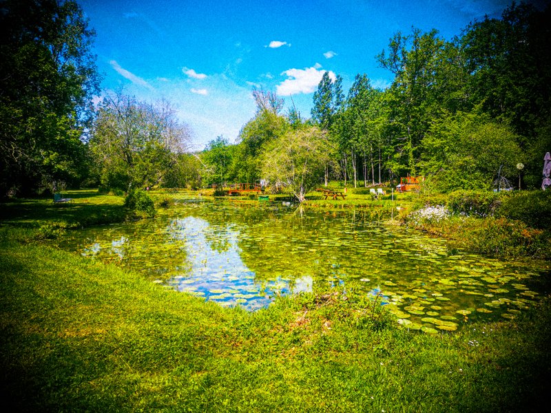 Hébergement AbracadaRoom : Lodge sur pilotis, étang privé, nature et biodiversité à Sarlat - Image 19