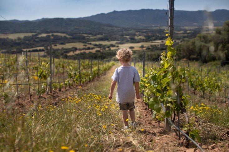 Domaine AbracadaRoom : Un Lit Au Pré -  La ferme de Figari - Image 2