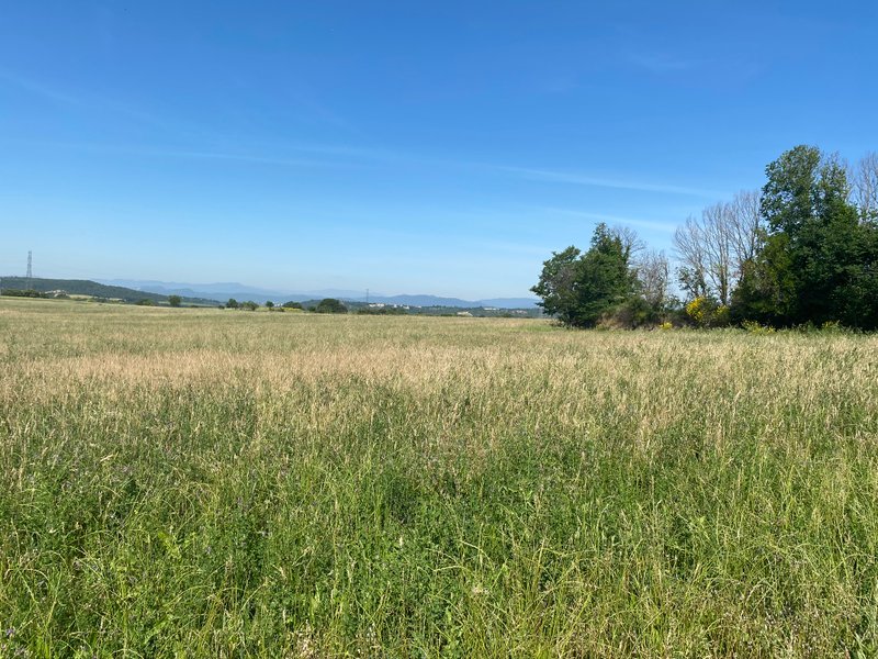 Domaine AbracadaRoom : Une Roulotte à la Campagne - Image 7