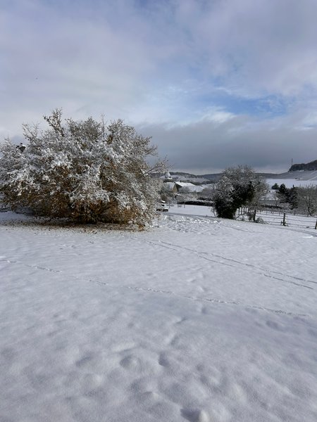 Domaine AbracadaRoom : Nuit's Féerique en Champagne - Image 14