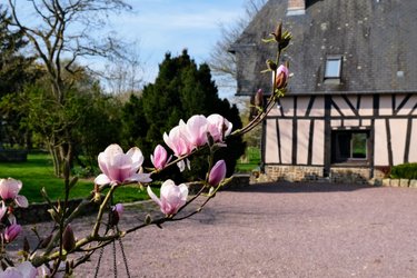 Studio avec étang- Nature & calme à 1h30 de Paris à Gisay La Coudre (4)